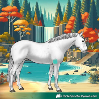 Horse Color:Gray White Spotted Black Sabino 