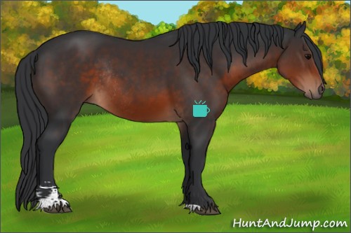 Horse Color:Brown Sabino Rabicano 