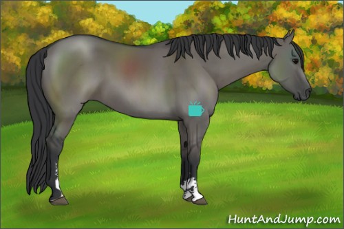 Horse Color:Grullo Sabino 