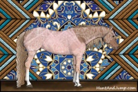 Horse Color:White Spotted Chestnut Ice Sabino