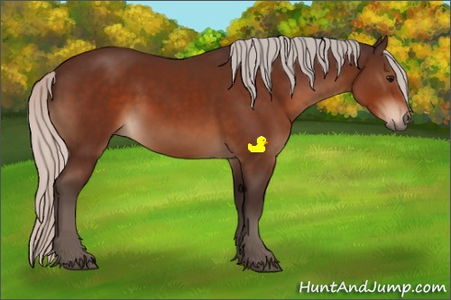 Horse Color:Silver Bay Sabino Rabicano 