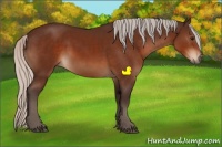 Horse Color:Silver Bay Sabino Rabicano 