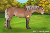 Horse Color:Silver Brown Sabino 