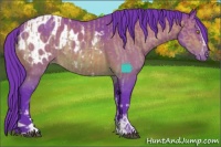 Horse Color:Watercolor White Spotted Buckskin Dun and Watercolor White Spotted Brown Blanket