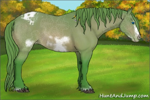 Horse Color:Watercolor Buckskin Sabino Frame Varnish Rabicano