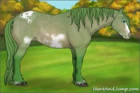 Horse Color:Watercolor Buckskin Sabino Frame Varnish Rabicano 