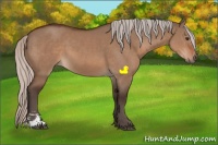 Horse Color:Silver Brown Dun Sabino 