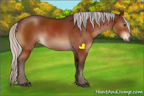 Horse Color:Silver Brown Sabino Rabicano 