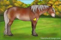Horse Color:Silver Brown Sabino Rabicano 