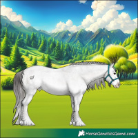 Horse Color:White Spotted Brown Roan Appaloosa Rabicano 