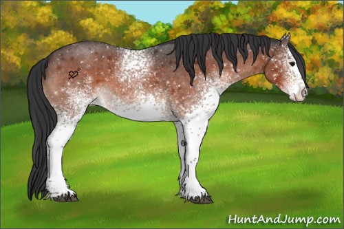 Horse Color:White Spotted Brown Roan Snowflake VarnishRabicano