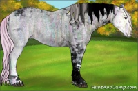 Horse Color:Void Watercolor Silver Blue Ice Roan Tobiano