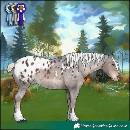 Horse Color:White Spotted Liver Chestnut Mushroom Sabino Blanket 
