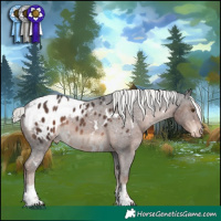 Horse Color:White Spotted Liver Chestnut Mushroom Sabino Appaloosa 
