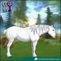 Horse Color:White Spotted Liver Chestnut Mushroom Sabino Appaloosa