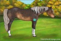 Horse Color:Silver Smoky Black Tobiano 