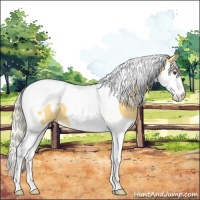 Horse Color:Palomino Splash Tobiano Appaloosa 