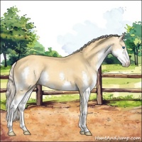 Horse Color:Gold Cream Champagne Splash 