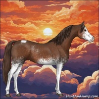 Horse Color:White Spotted Liver Chestnut Tobiano 
