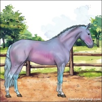 Horse Color:Watercolor Bay Sabino Tobiano 