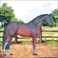 Horse Color:Watercolor Bay Sabino Tobiano 