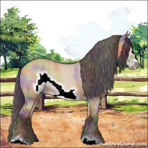 Horse Color:Nacre Bay Dun Sabino Frame Rabicano 