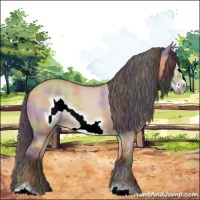 Horse Color:Nacre Bay Dun Sabino Frame Rabicano 