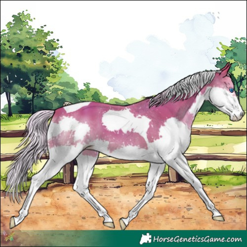 Horse Color:Watercolor Silver Amber Champagne Splash Tobiano 