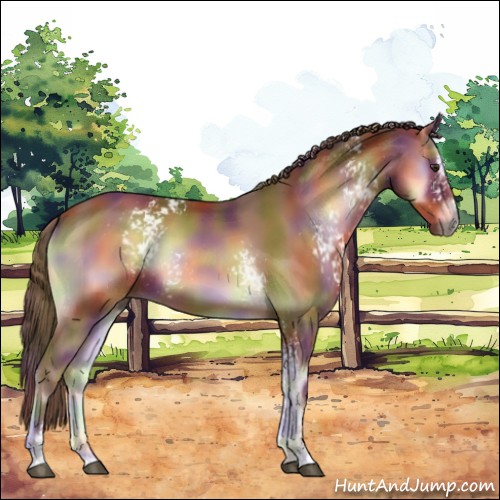 Horse Color:Nacre White Spotted Red Onyx Sabino