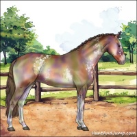 Horse Color:Nacre White Spotted Red Onyx Sabino