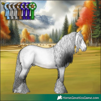 Horse Color:Gray Brown Roan Sabino