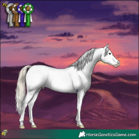 Horse Color:Chocolate Palomino Mushroom Varnish 