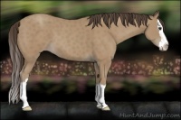 Horse Color:Classic Champagne Splash 