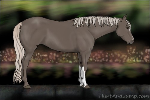 Horse Color:Silver Black 