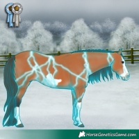 Horse Color:Thunderstruck Bay Splash Frame 
