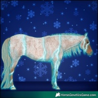 Horse Color:Thunderstruck Red Roan