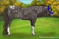 Horse Color:Smoky Black Ice Snowflake Varnish