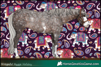 Horse Color:Silver Brown Ice Rabicano