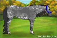 Horse Color:Black Ice 