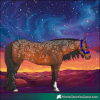 Horse Color:Bay Ice 