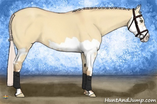 Horse Color:Silver Sable Champagne Dun Splash Frame 