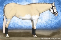 Horse Color:Silver Sable Champagne Dun Splash Frame 