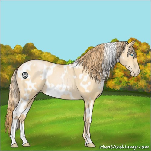 Horse Color:White Spotted Buckskin Pearl 