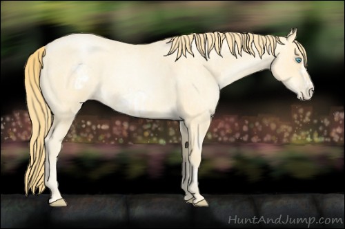 Horse Color:Buckskin Roan Pearl  and Buckskin Roan Pearl Frame 