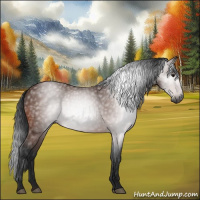 Horse Color:Gray Bay 