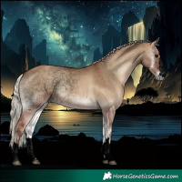 Horse Color:Void Silver Grullo Onyx 