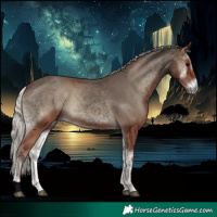 Horse Color:Void Silver Blue Onyx 