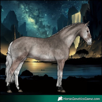 Horse Color:Void Platinum Silver Blue Onyx 