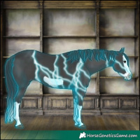 Horse Color:Thunderstruck Black Splash Frame