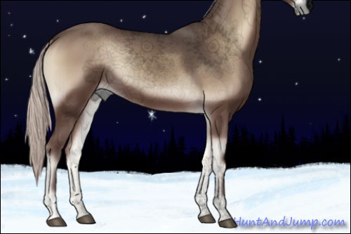 Horse Color:Void Silver Blue Onyx 